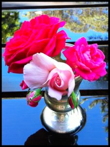 reflected roses